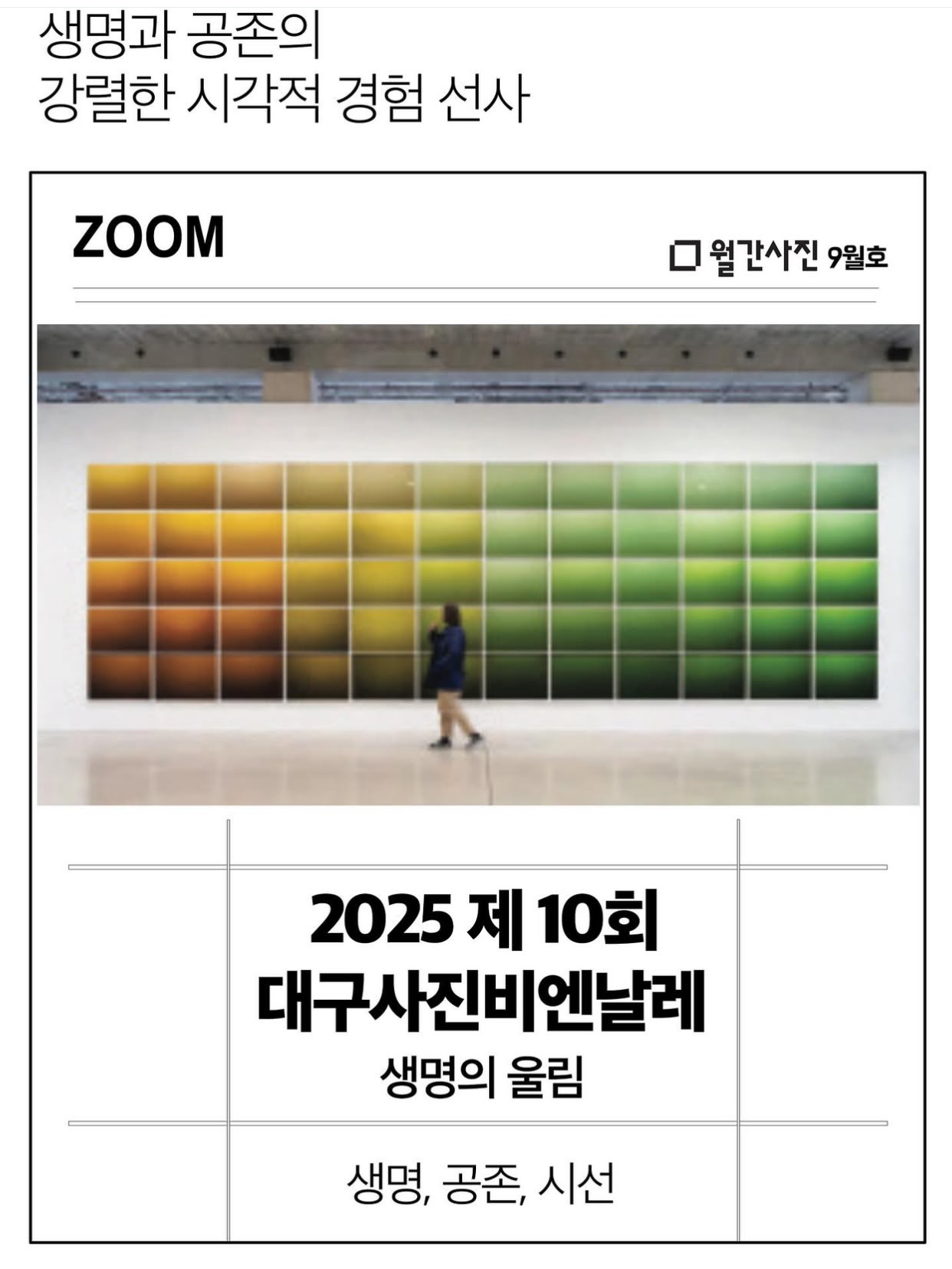 대표 이미지