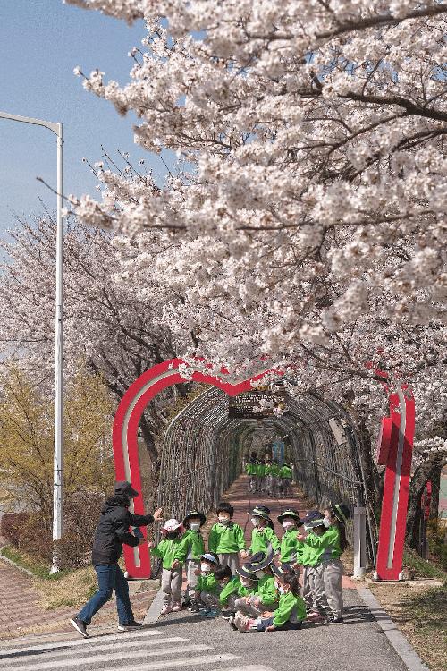 대표 이미지