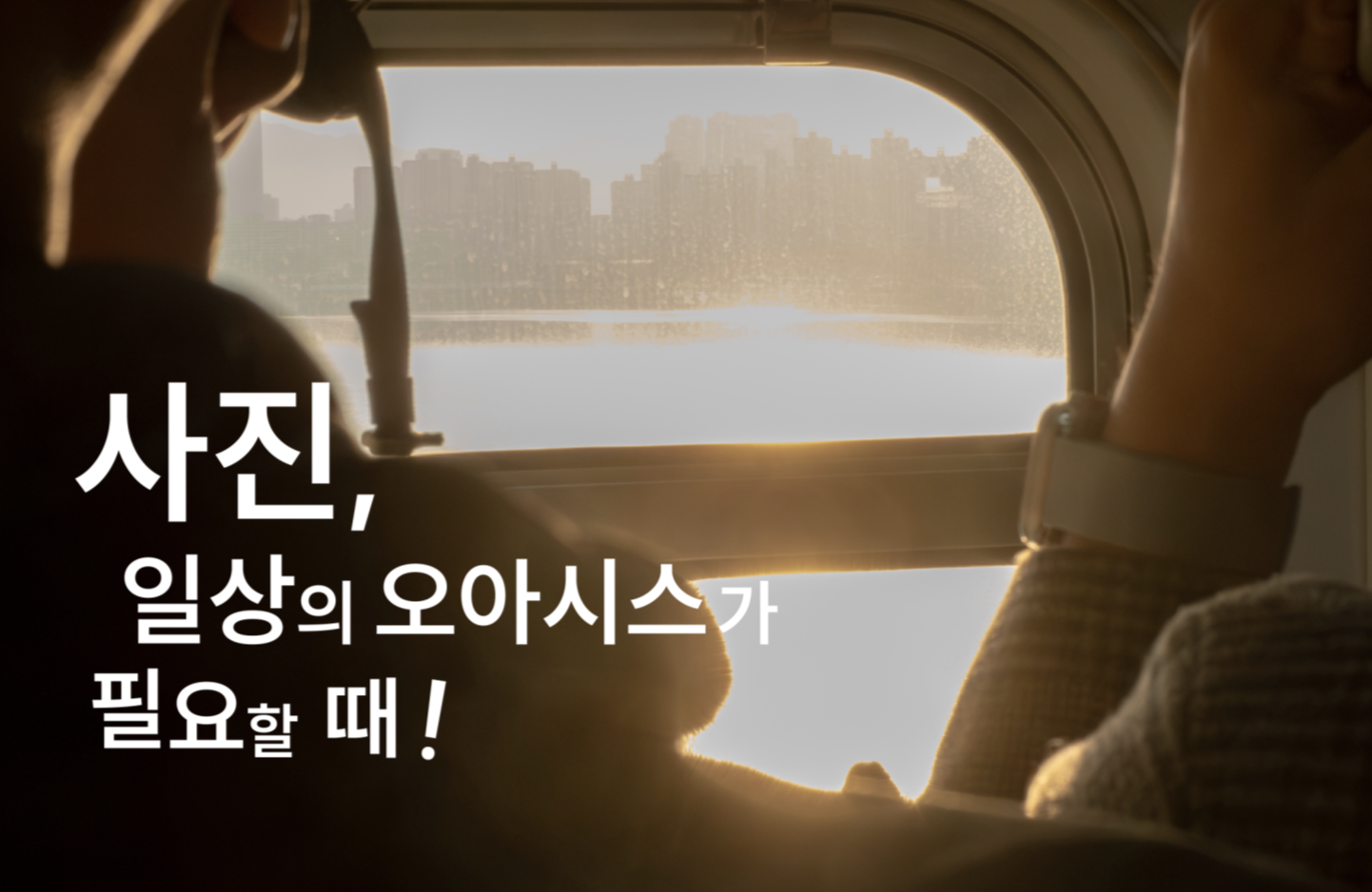 대표 이미지